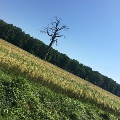 miron-dialogue-monococ-remix-sw051_(zvuk.mobi).mp3