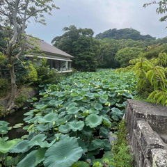 いない