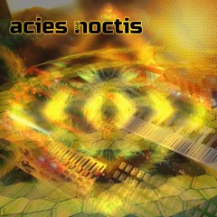Acies Noctis - The Bumblebee Synthphony (176)