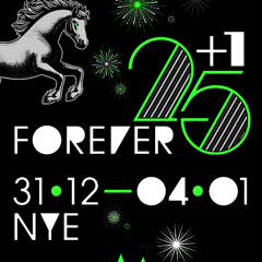 @Forever 25 - NYE Kater Club