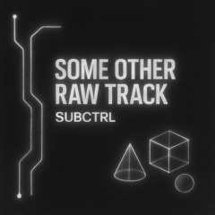Some Other Raw Track (Original Mix)