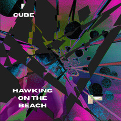 Hawking On the Beach