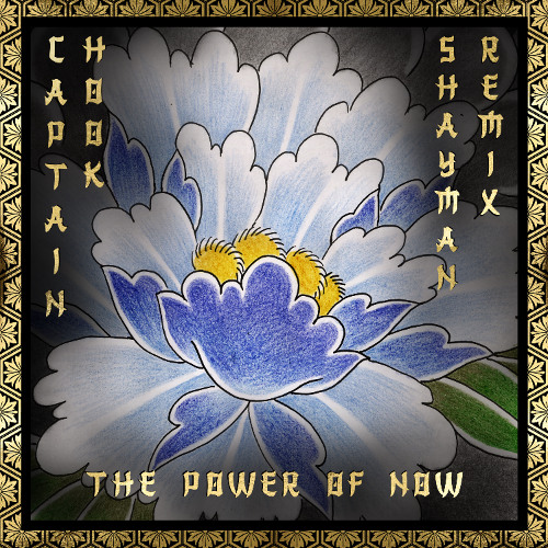 Captain Hook - The Power of Now (Shaman  remix) [sample]