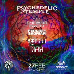 Emiliano Pavon - En vivo Groove Psychedelic Temple 27/2/21