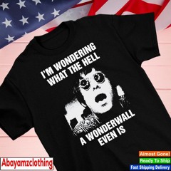 I’m wondering what the hell a wonderwall even is shirt