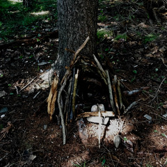 fairy houses {drpodd}