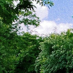 Searching For The Truth