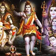 Lingashtakam in Veena and Synth