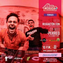 01-800-PERREO Live La Morada