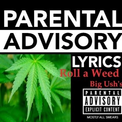 Roll a Weed ( Master BOKAL 2.0 )_Prod by Mécra