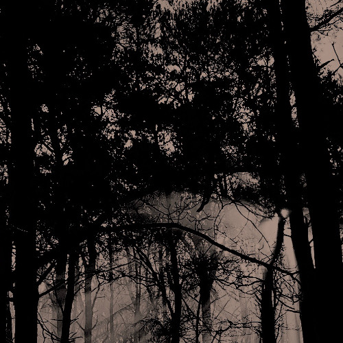 Syafka - The Grief Of The Defeated