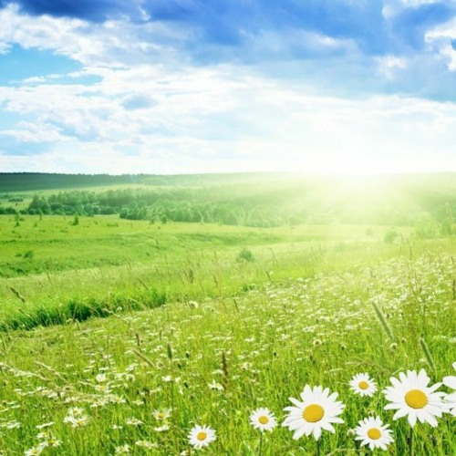 All Is Good background music for presentation DOWNLOAD