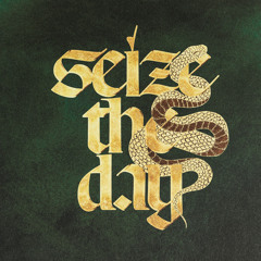 SEIZE THE DAY (feat. Savage)