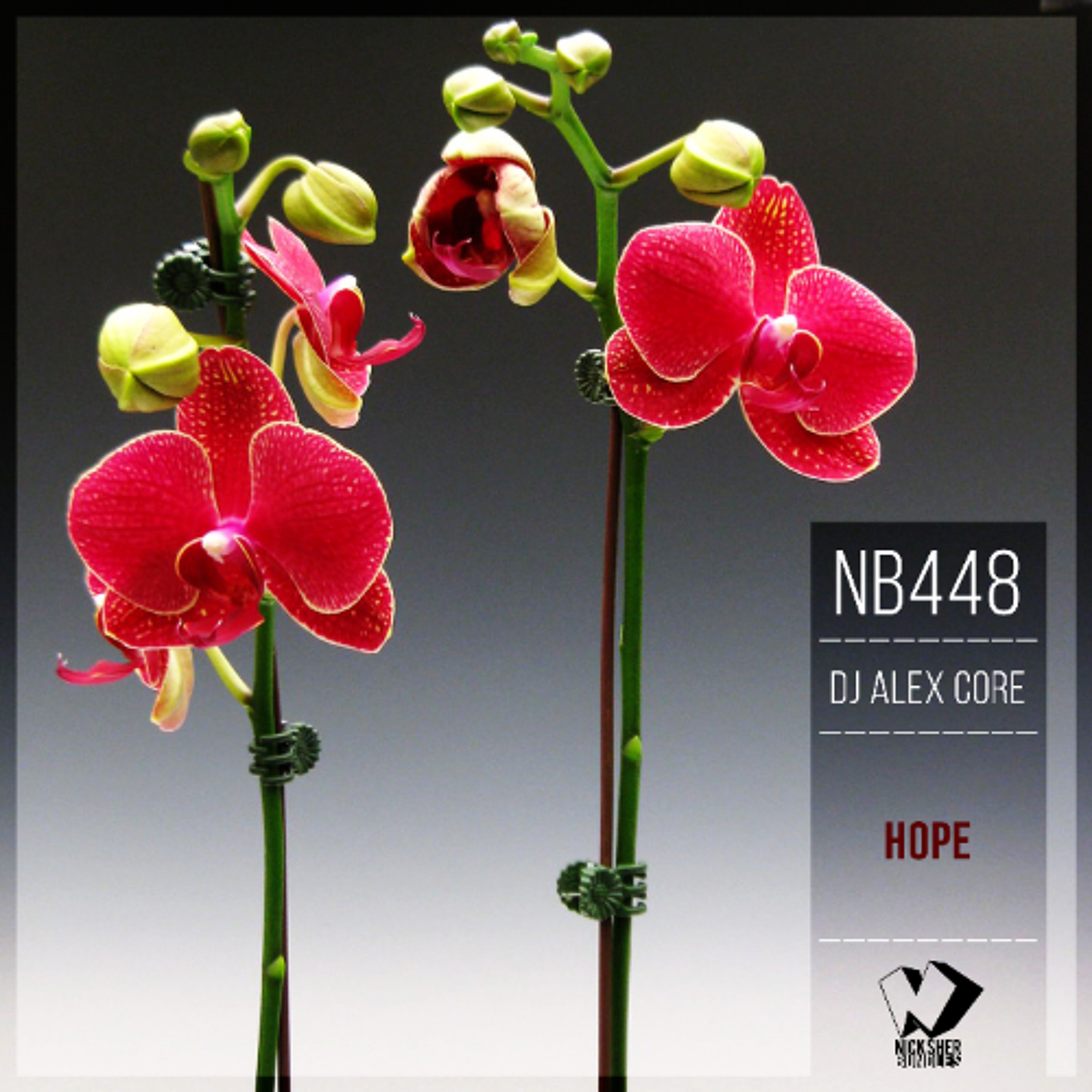 Dj Alex Core - Hope (Original Mix) episode artwork