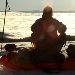 CLIMATE BREAKDOWN reports