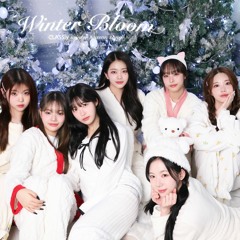 CLASS:y - Winter Bloom