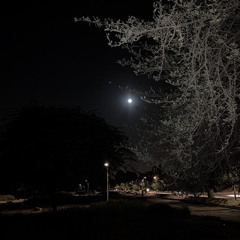 الناس عندها قمر، وأنا عندي قمرين 💙.