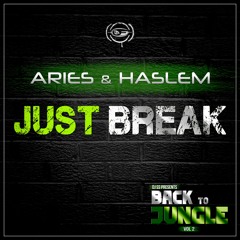 Aries & Haslem - Just break / Back to Jungle vol.2 LP / clip