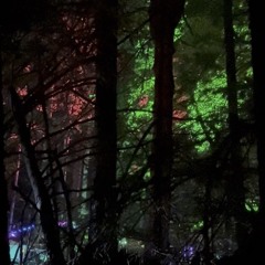 Lucy Ford @ Echo Grove 2025