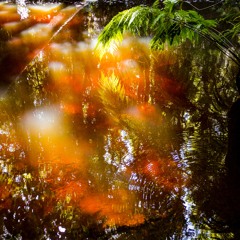 Life's A Grind (Unmastered)