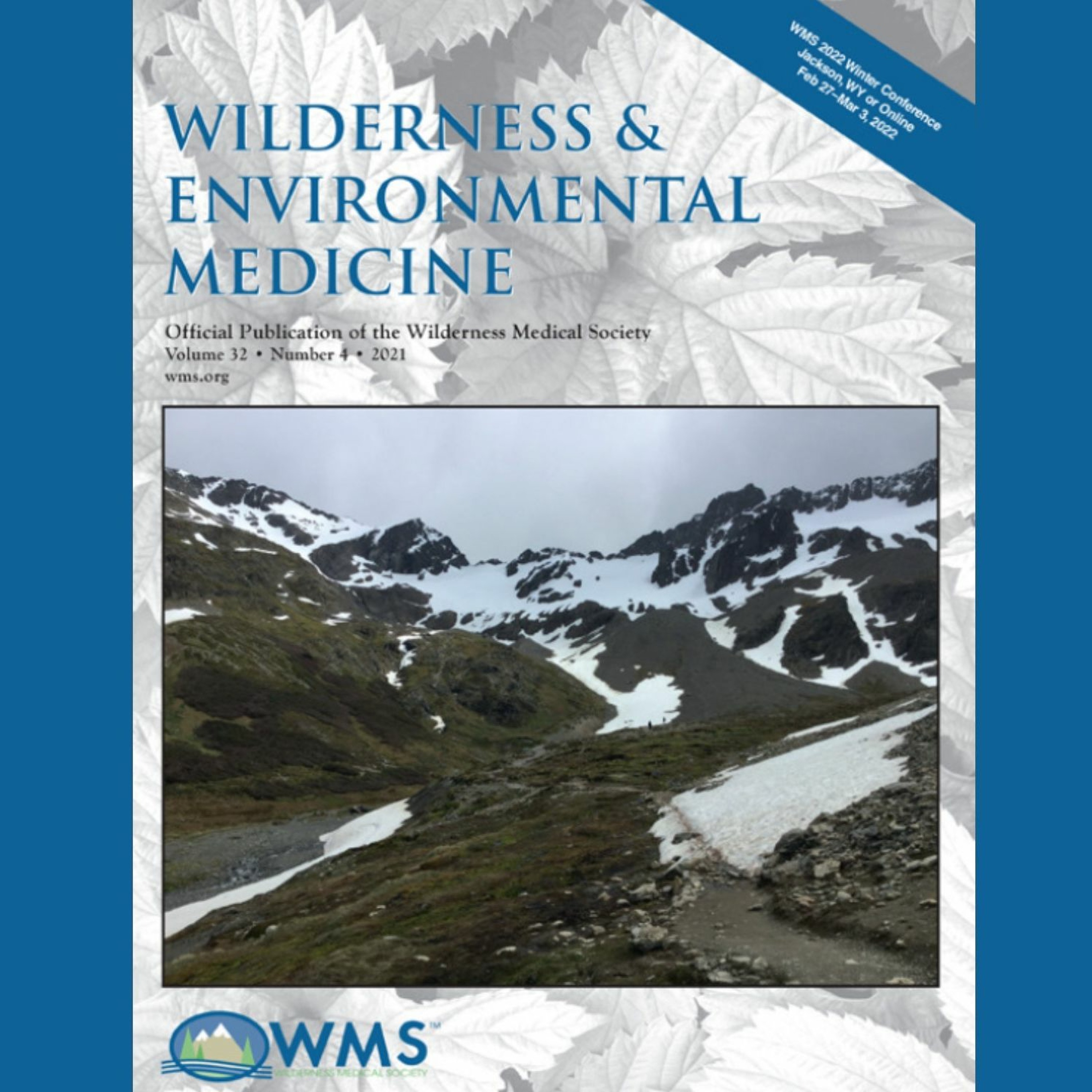 Wilderness Medicine Podcast