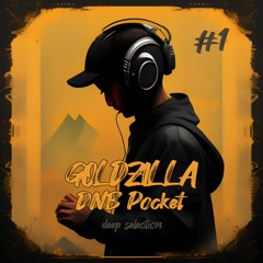 DNB Pocket #1 (Deep selection) by GOLDZILLA