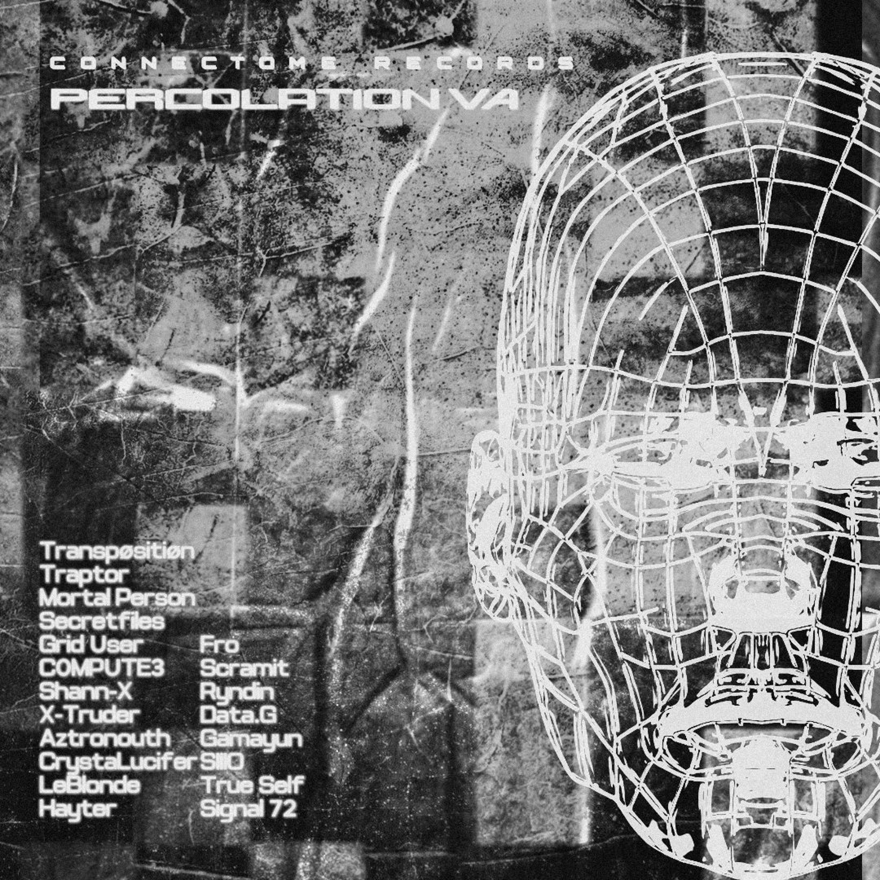 WL//WH Premiere: TRANSPØSITIØN - "The Shadow of the Past" [Connectome Records] episode artwork