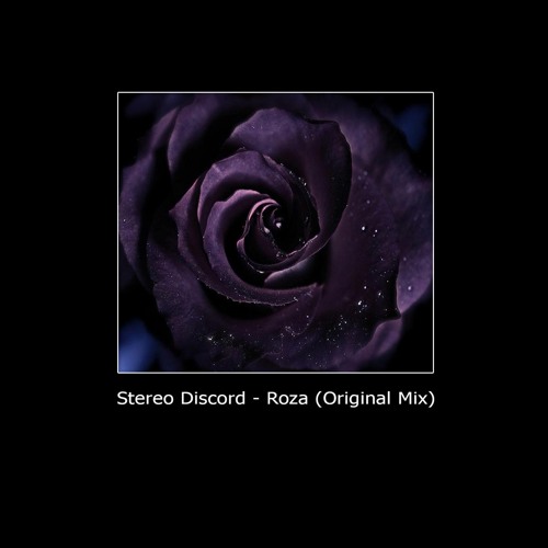 Stream Stereo Discord Roza Original Mix By Stereo Discord Listen Online For Free On Soundcloud
