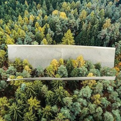 Die Zukunft - Drogen Nehmen Und Rumfahren (Egi & Zylenth Remix)