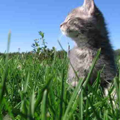 she's a liar / hoe w me (xen IzeRidge)