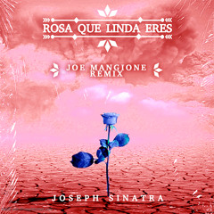 Rosa Que Linda Eres (Joe Mangione Edit Remix)