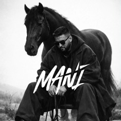 VeerVaar X Dhan Te Nan (Drum N Bass) - MANI (Intro Edit)