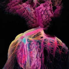 new phone (prod. Dēdric Dean)