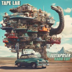 Juxtaposer [RADIO EDIT]
