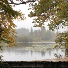 Plateau de Millevaches, une balade sonore