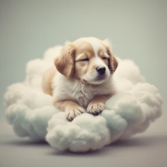 Musica para Perros - Canciones relajantes para Perros y Cachorros 4