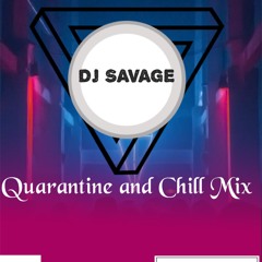 DJ Savage  Qurantine and Chill Sex Mix
