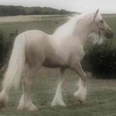 ynski - 0 (ft. fr.juggstr)