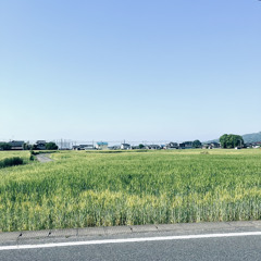 Natsukaisou (xmichaelwarren)