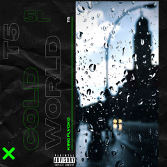 King Flvcko x T5 - Cold World