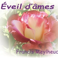 07-Ouverture du cœur