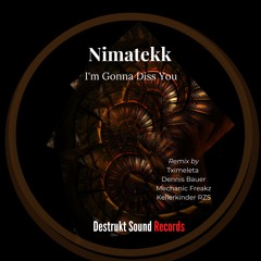 Nimatekk - I'm Gonna Diss You