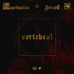 vertebral