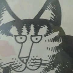 Mick Lawless.The Last Thing She Said.