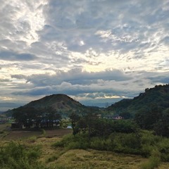 421503 – BombayVerse Mafia