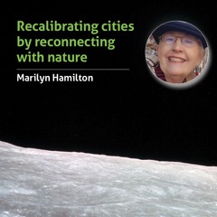 #11 recalibrating cities by reconnecting with nature