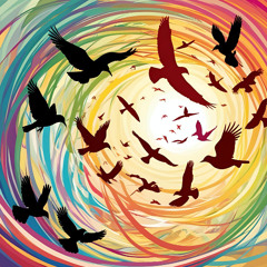 DaPan - two chirping birds // spring