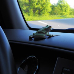 Froggy Road