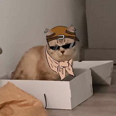 khoảng chừng 2 rưỡi sáng