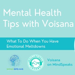 Mental Health Tips with Voisana | What To Do When You Have Emotional Meltdowns